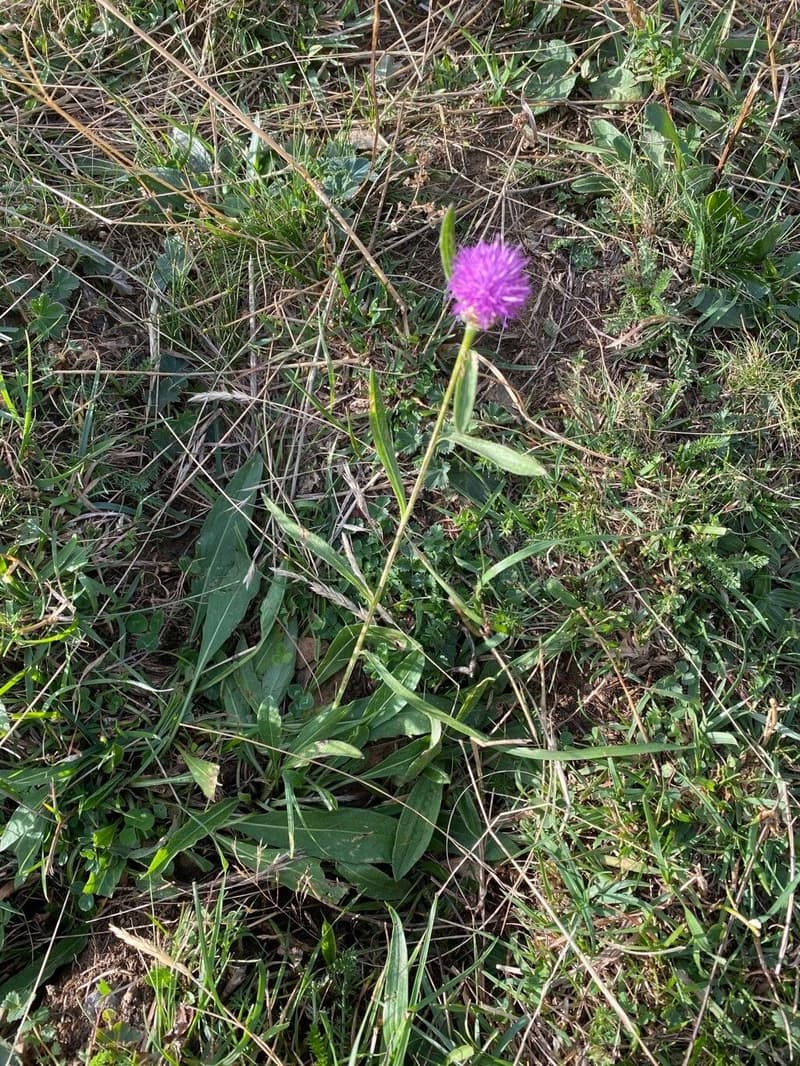 habit image