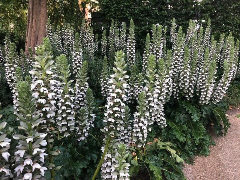 habit image